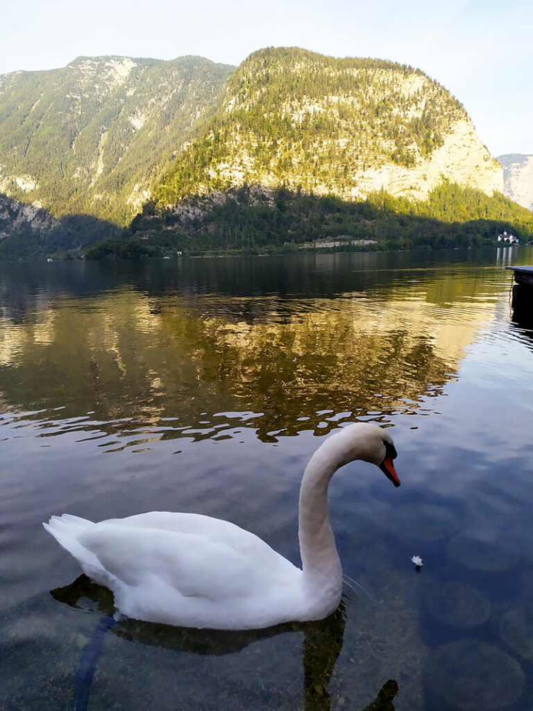 Hallstatt zťp zľava