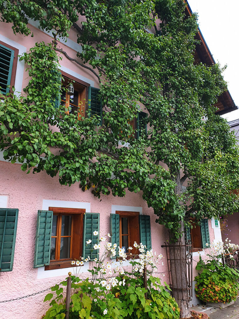 Hallstatt cestovanie s celiakiou