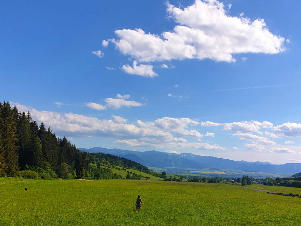 Slovensko bezlepkové reštaurácie a ZŤP zľavy