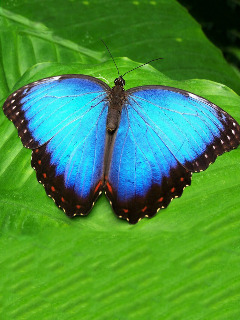 Praha botanická záhrada zťp zľava