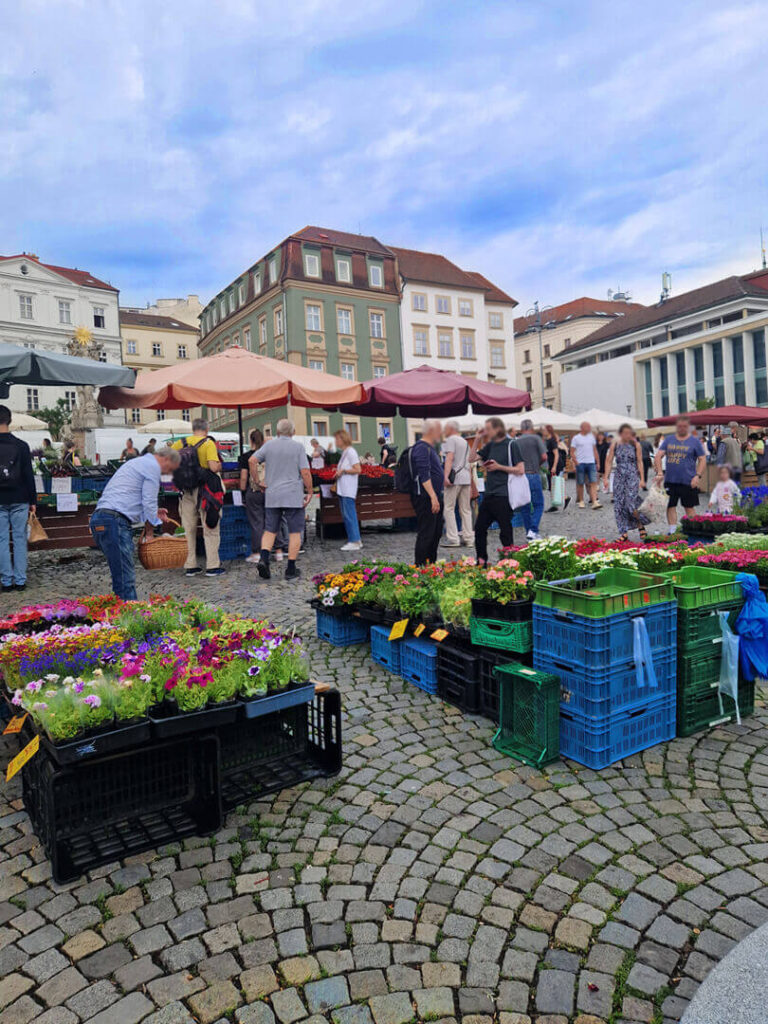 Zelný trh Brno celicesty cestovanie s celiakiou